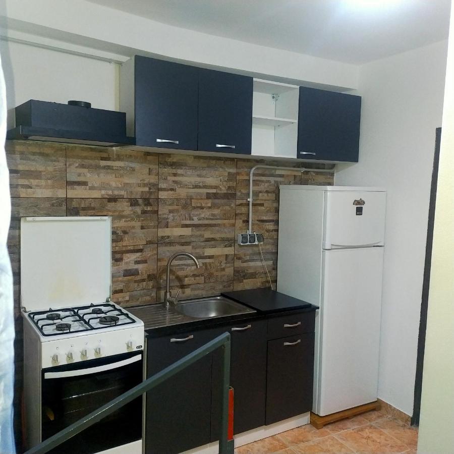 Vila Elena Ap 1 Bucarest Esterno foto