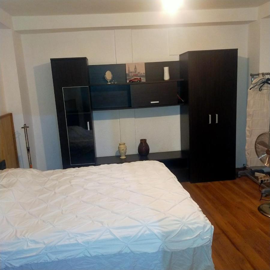 Vila Elena Ap 1 Bucarest Esterno foto